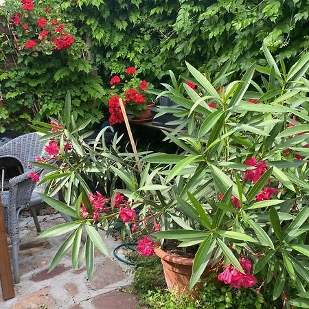 Gólyásház apartman Kovagoors Esterno foto