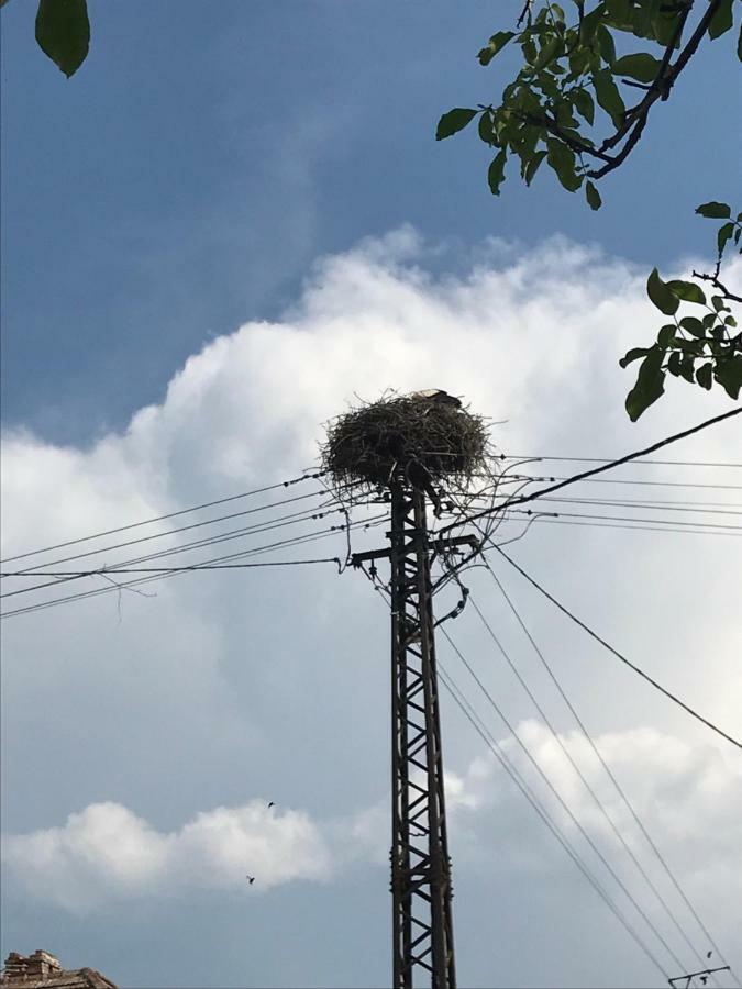 Gólyásház apartman Kovagoors Esterno foto